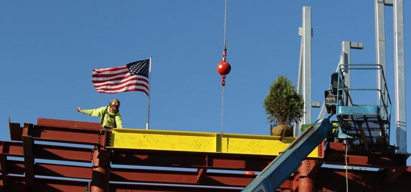 黄色光束与常绿植物的特写 & 美国国旗和工人在新两层楼的红色钢框架顶部